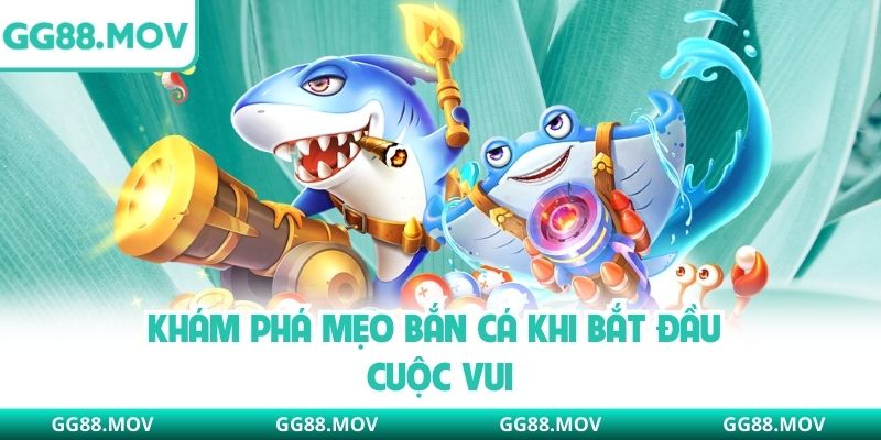 Khám phá mẹo bắn cá khi bắt đầu cuộc vui